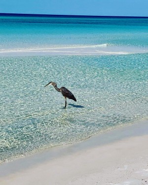 Delray Beach Florida