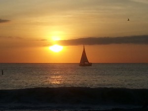 Venice FL