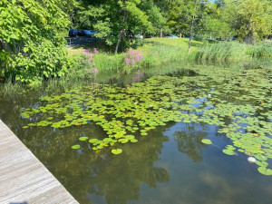 Nyack, NY
