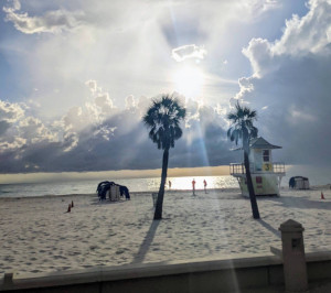 Tampa Fl