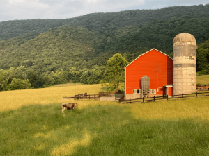 Toms Brook, Shenandoah Valley, Virginia